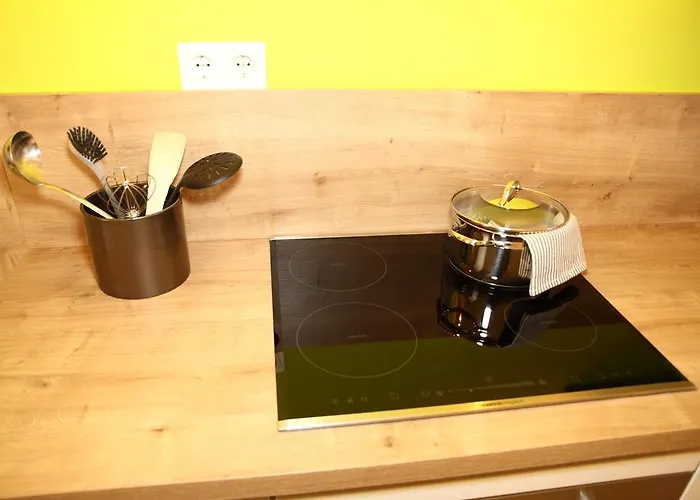 Apartment-joanneum 公寓 *